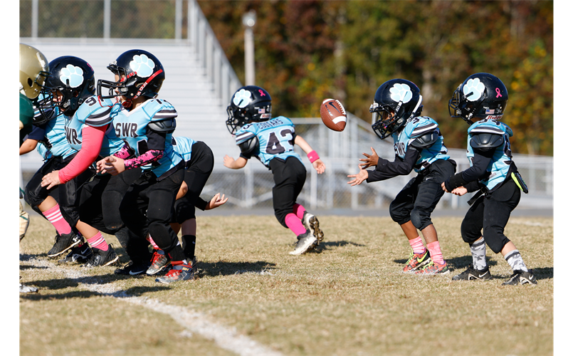 2022 6U SWR Cougars